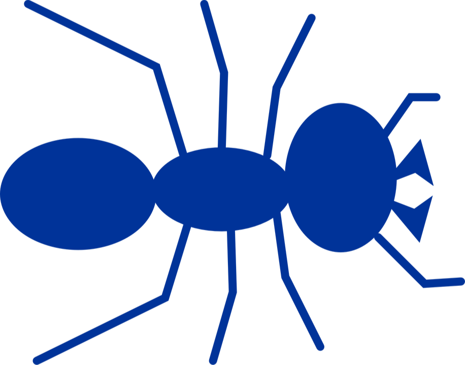 Termite